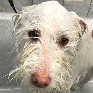 Fundraising Page: Barbara Jenkins